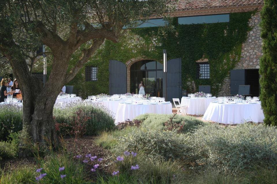Mas Oliveres 10