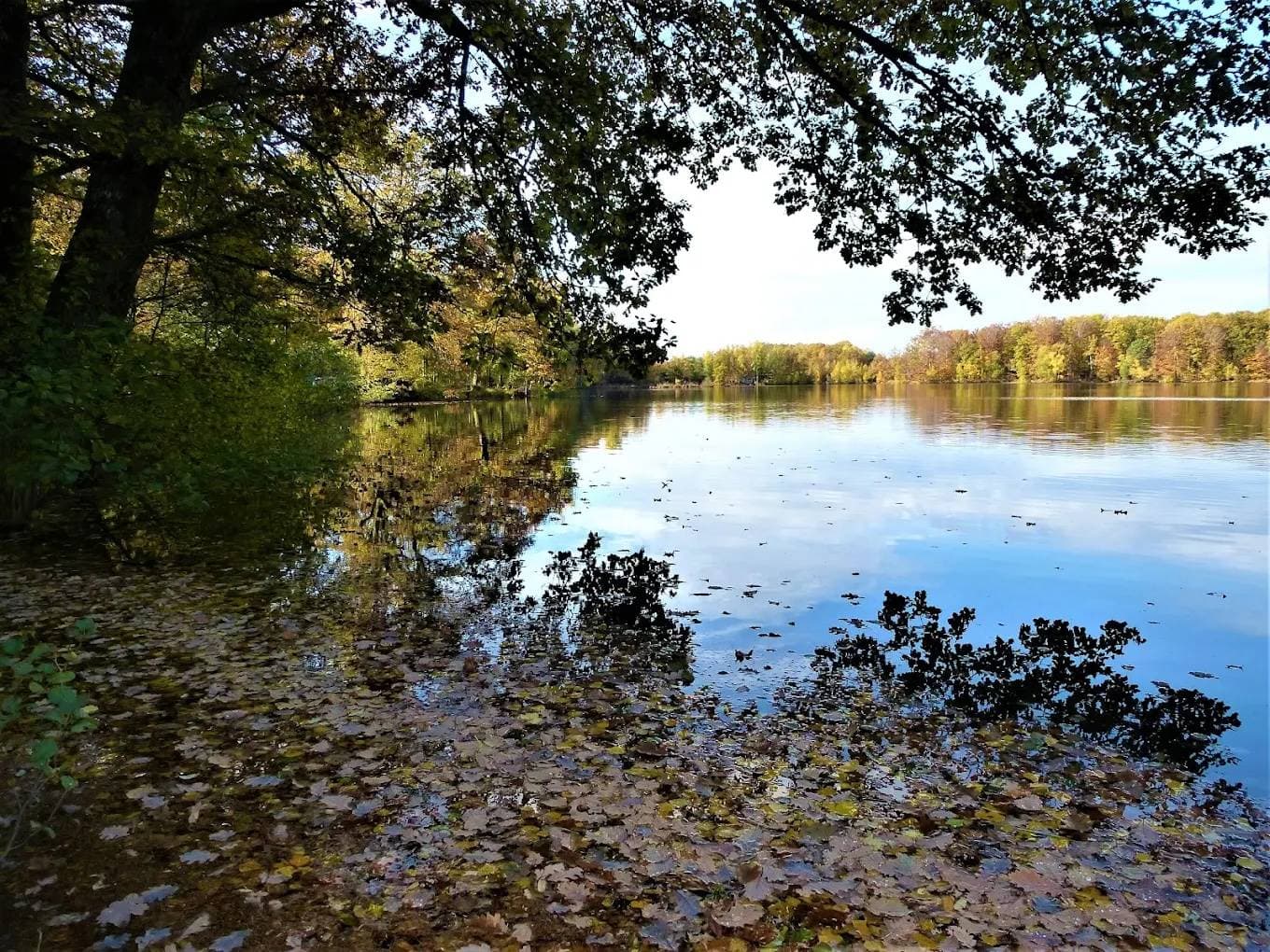 echappee des 1000 etangs 1