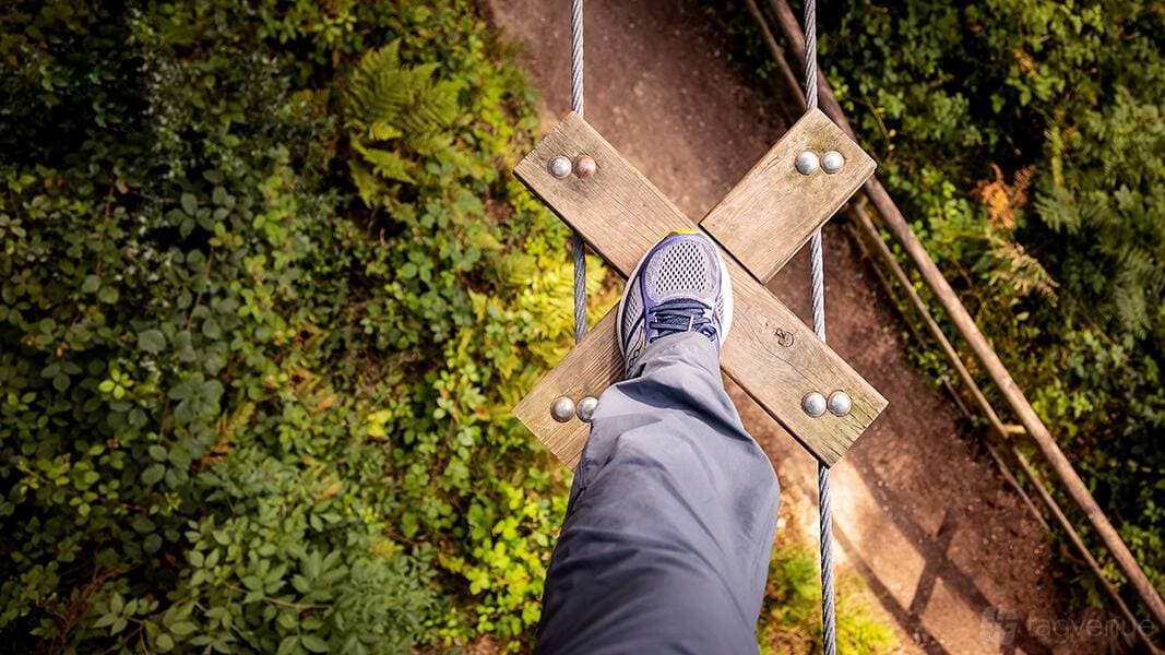 Go Ape Aberfoyle 1