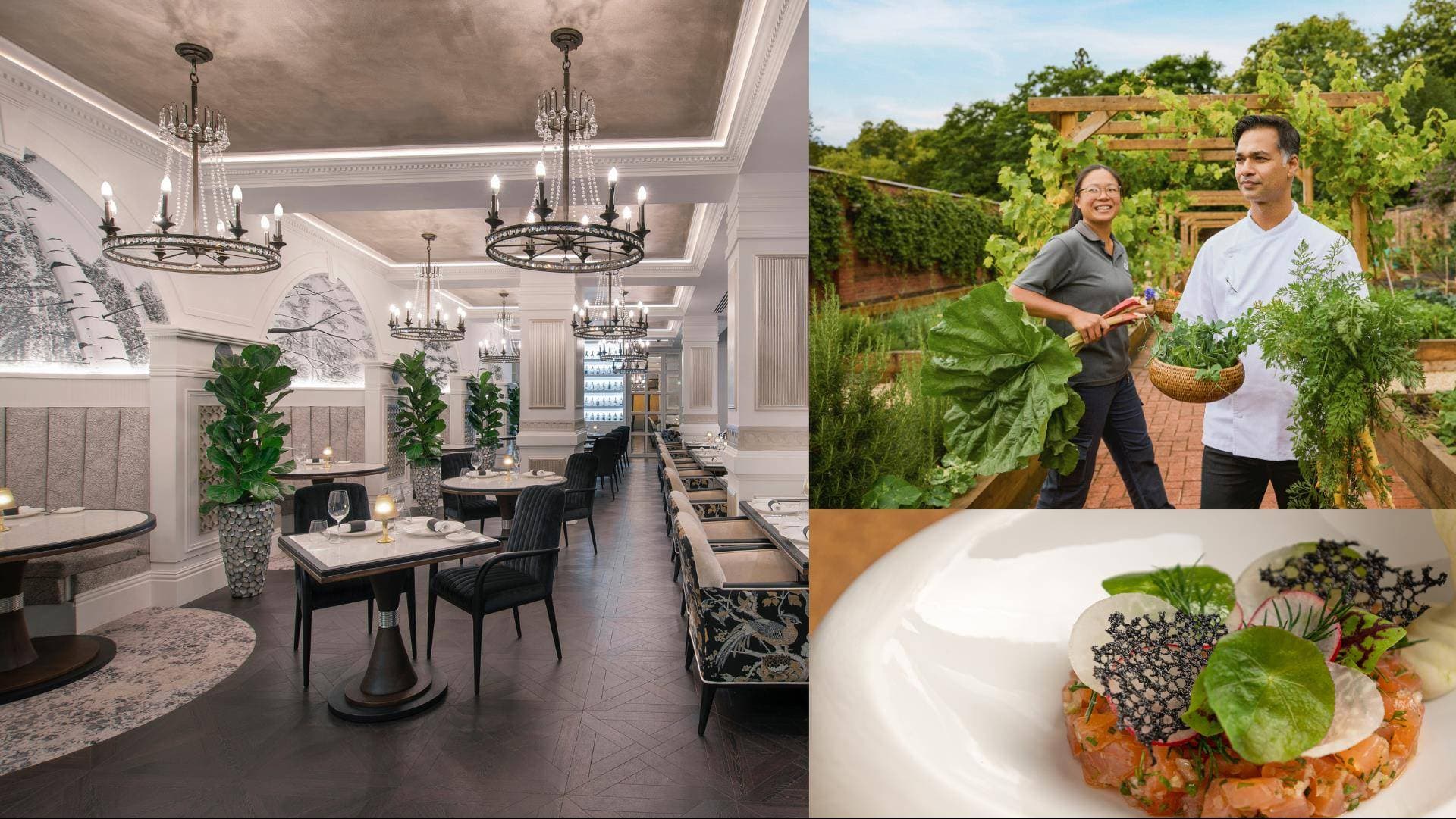 Fairmont Windsor Park 16