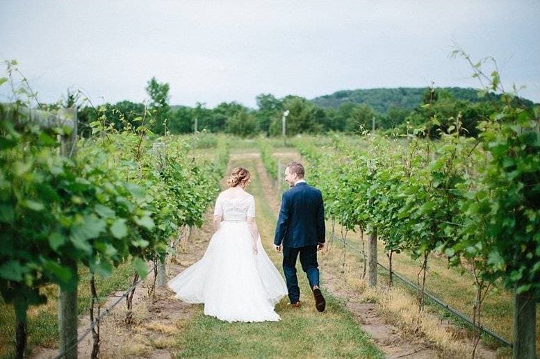 Villa Bellezza Winery & Vineyards 14