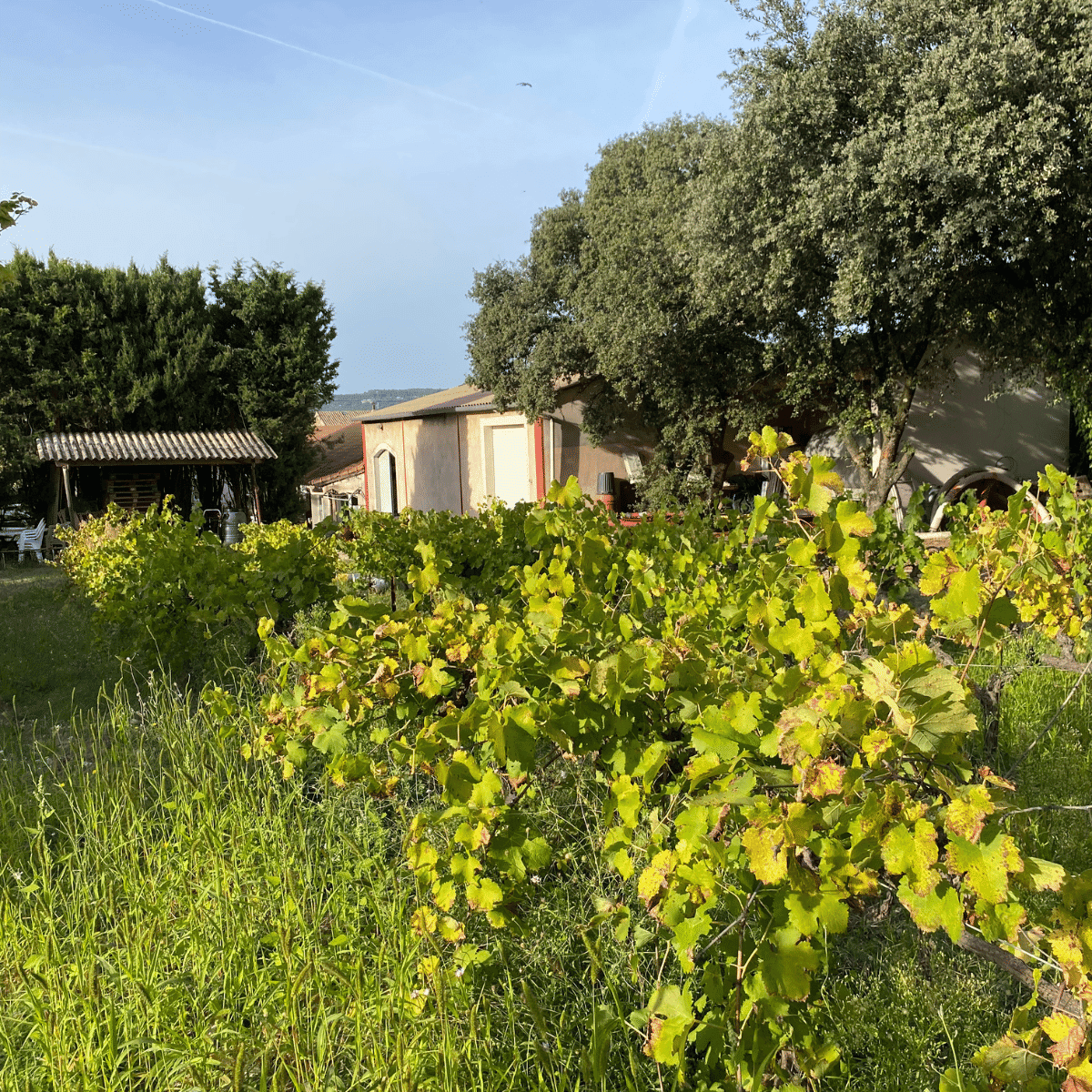 Domaine Bastide Jourdan et Gîtes en Provence 1