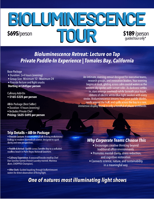 Bioluminescence tour