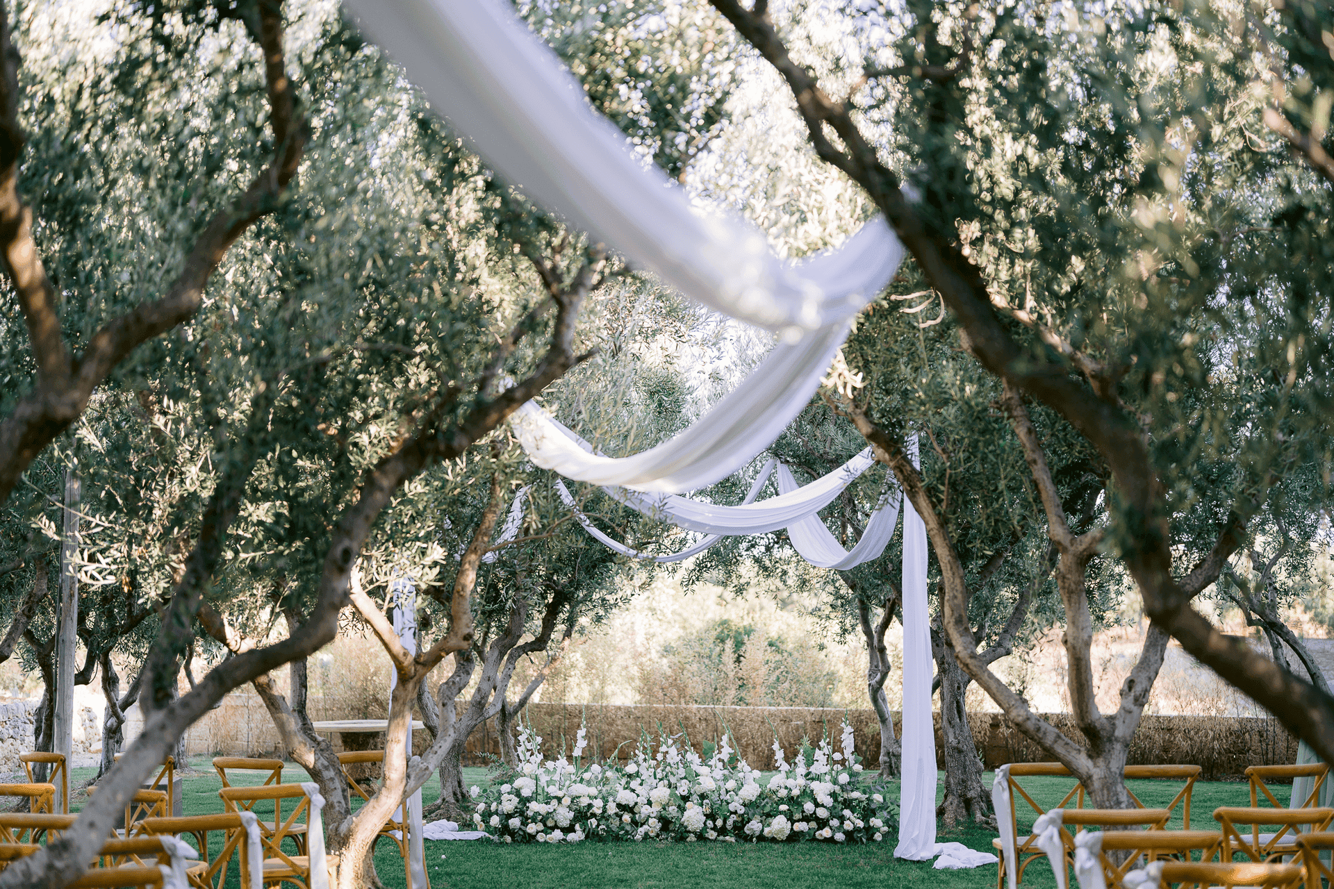 MASSERIA ALCHIMIA 15