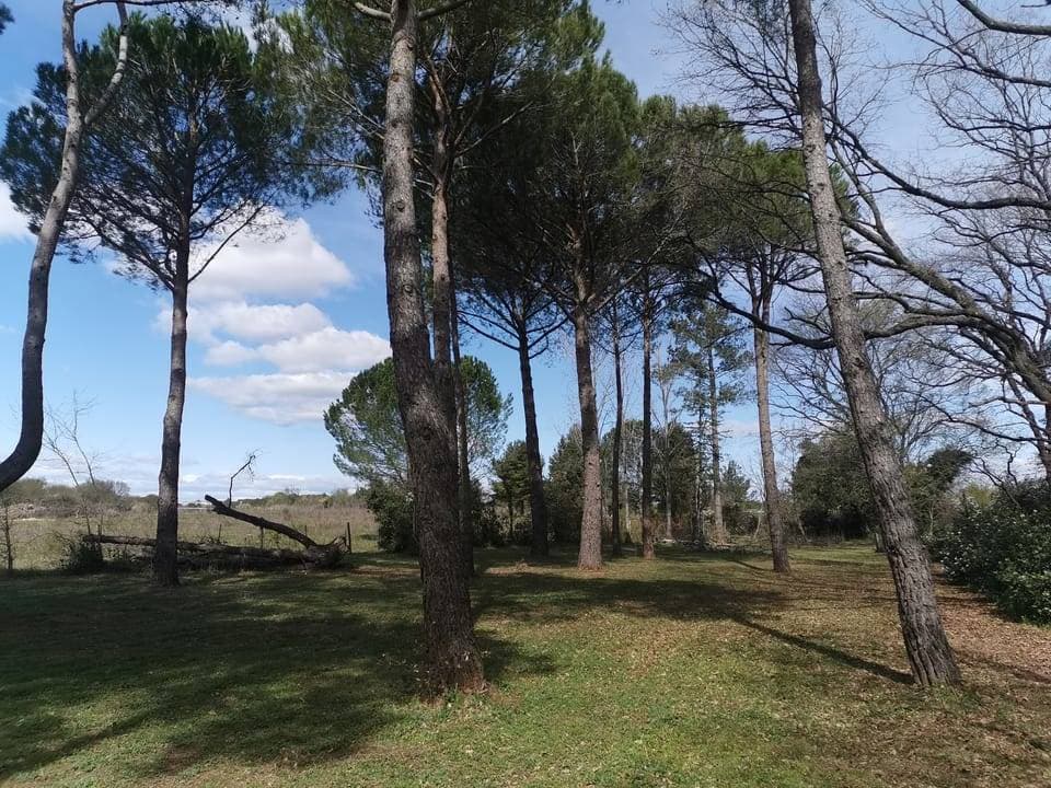 La salle des Garrigues 3