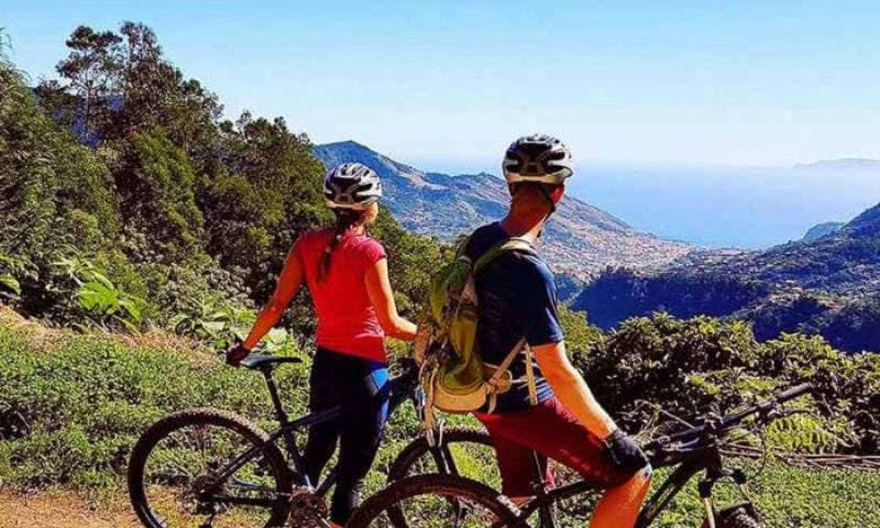 Happy Bikes 1