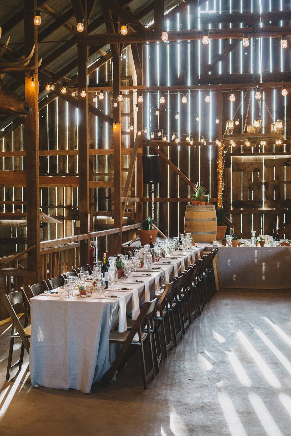 Spreafico Farms 9