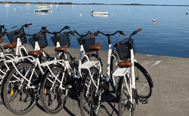 Rallye découverte à vélo - Journée