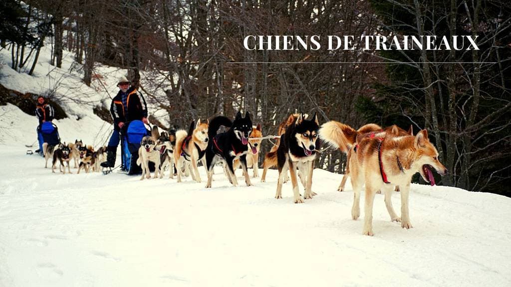 Alpes Sports Nature (Takamaka) 1