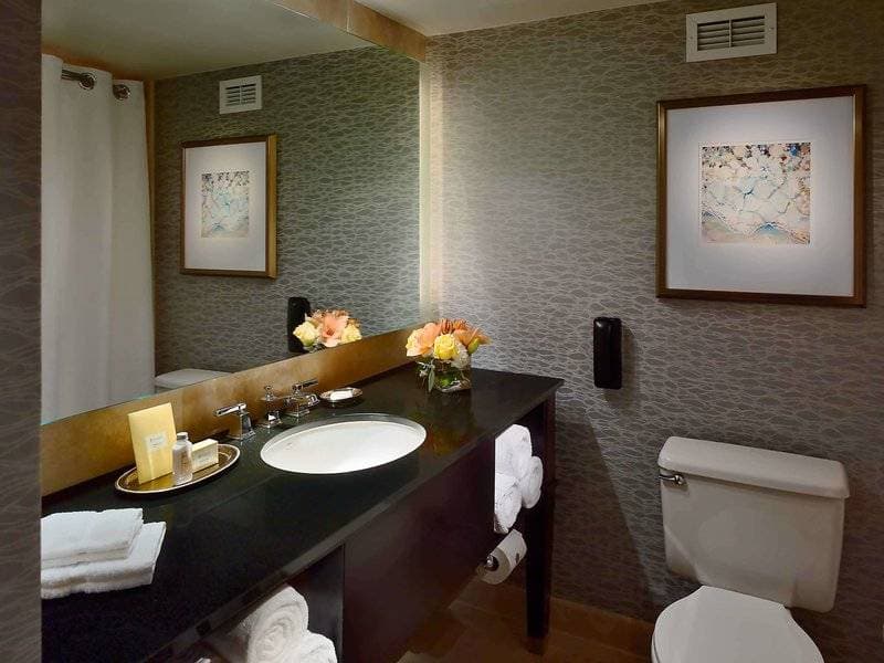 Royal Sonesta Houston Galleria 26