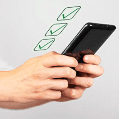 QUIZ PHONE (live)