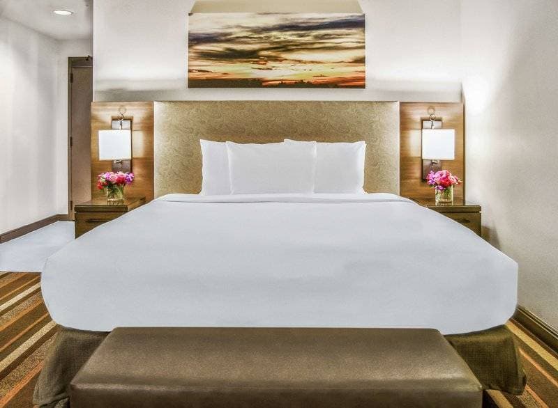 Hilton Dallas Park Cities 15