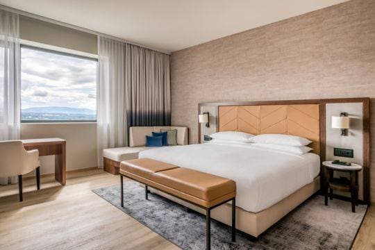Geneva Marriott Hotel 18
